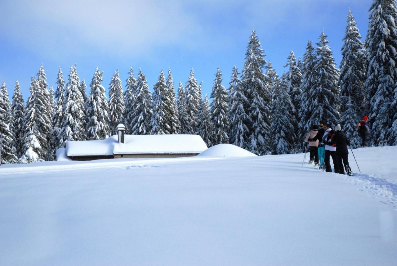 Chalet Le Petit Jura Villa Morbier Bagian luar foto