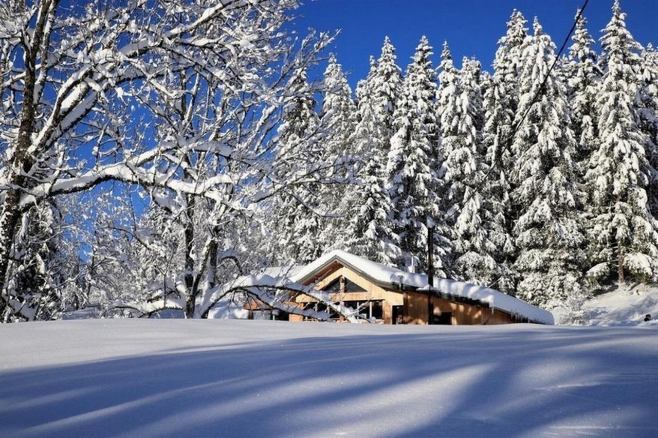 Chalet Le Petit Jura Villa Morbier Bagian luar foto